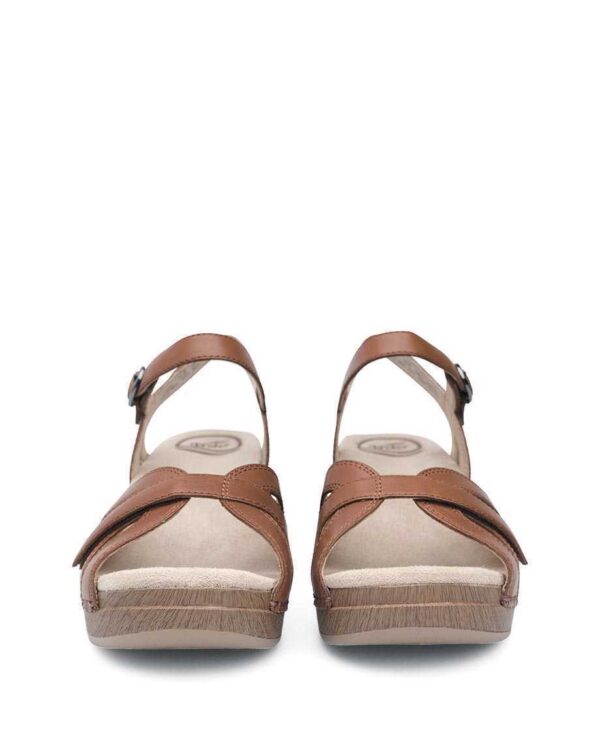 SEASON - Image 4