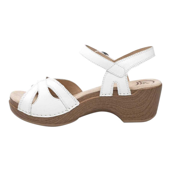 SEASON - Image 2