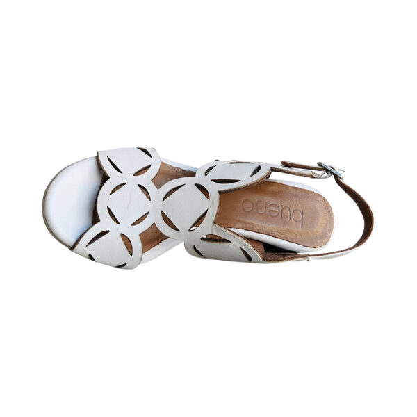 CASSIDY - Image 7