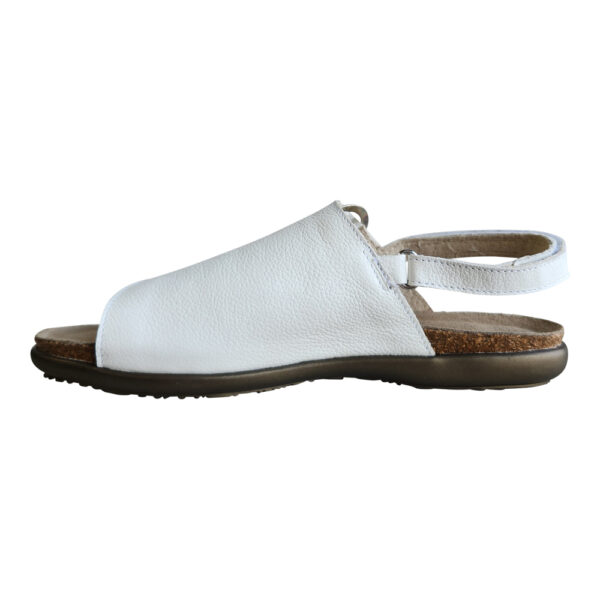 OLIVIA - Image 5