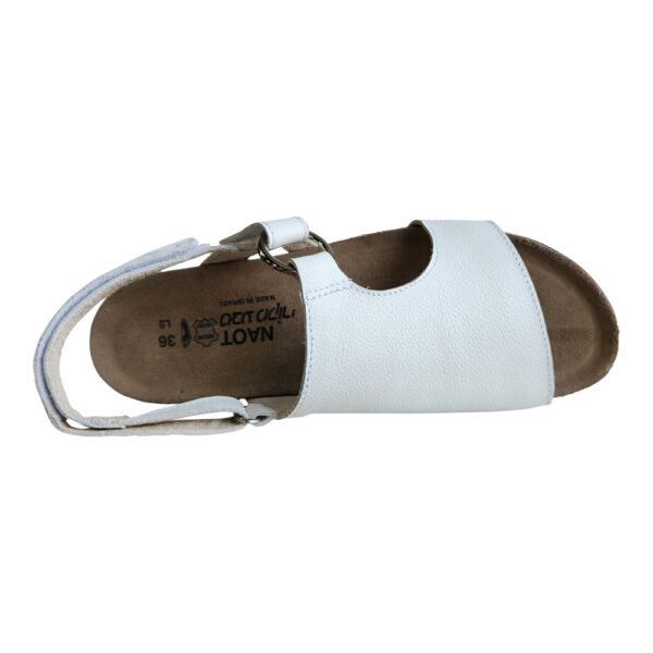 OLIVIA - Image 6