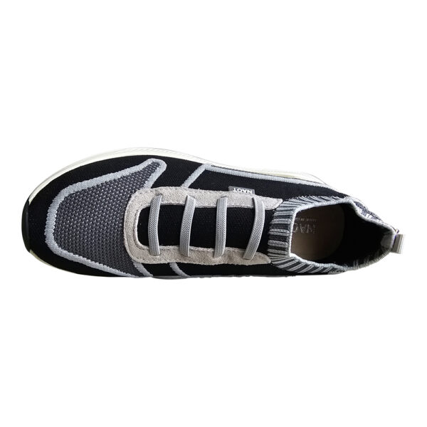 ADONIS - Image 5