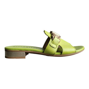LENAE HV243268