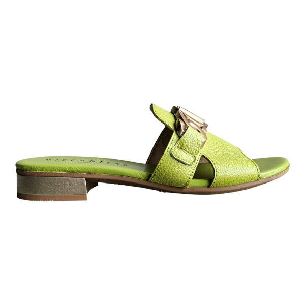 LENAE HV243268