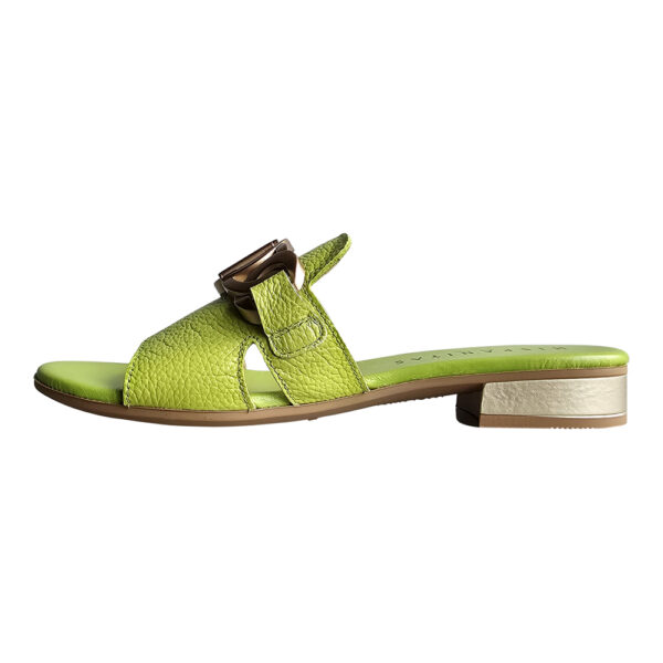 LENAE HV243268 - Image 2