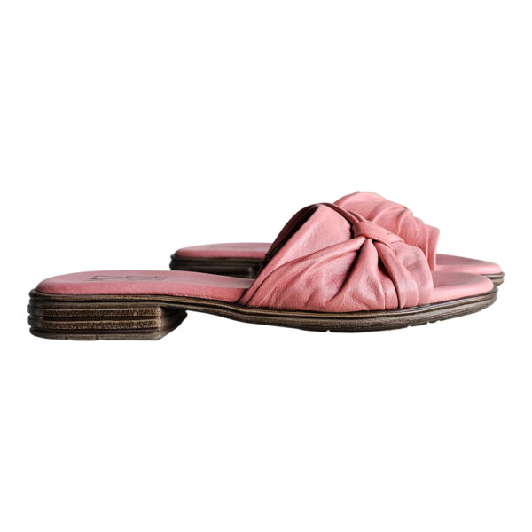 DAISEY - Image 3