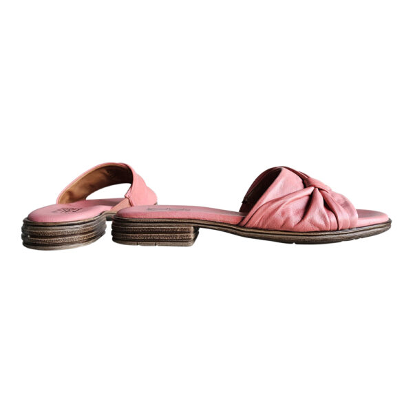DAISEY - Image 2