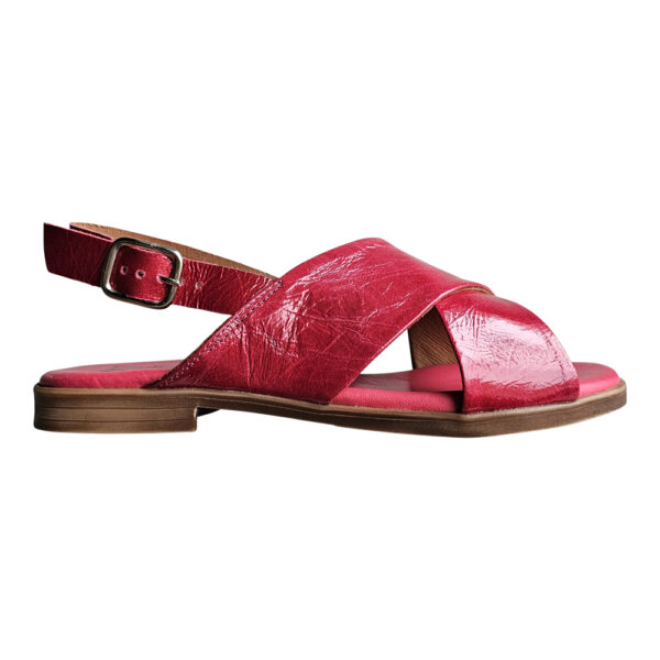 LETICIA - Image 4
