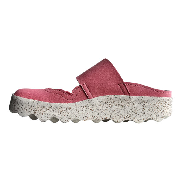 CANA - Image 2