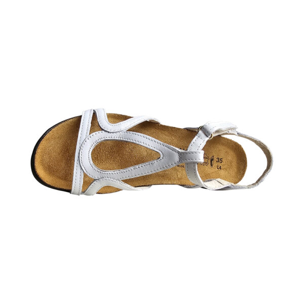 DORITH - Image 5