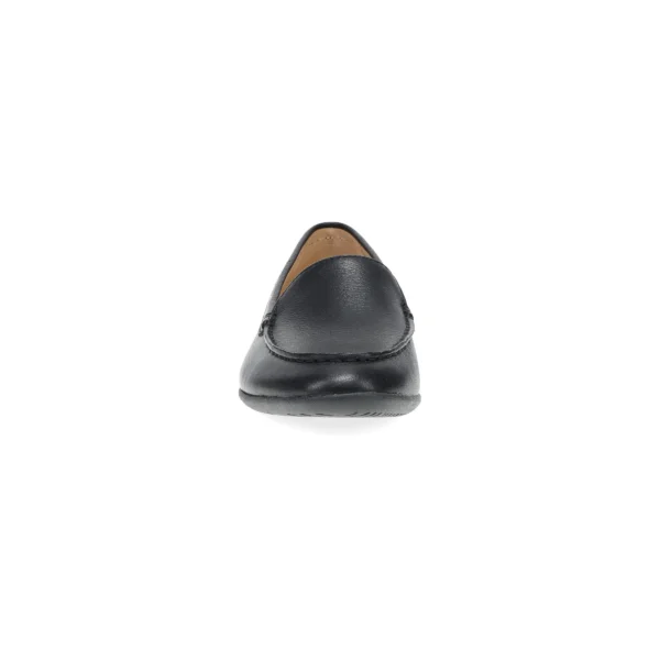 LORRI - Image 5
