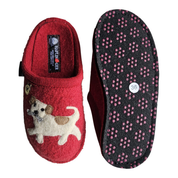 FIDO - Image 6
