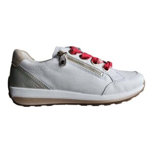 OLLIE 12-34587-79