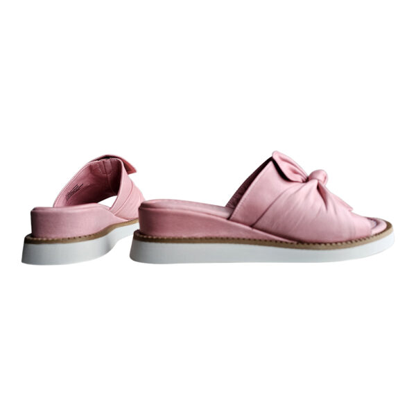 EVY - Image 7