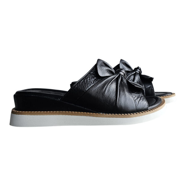 EVY - Image 7