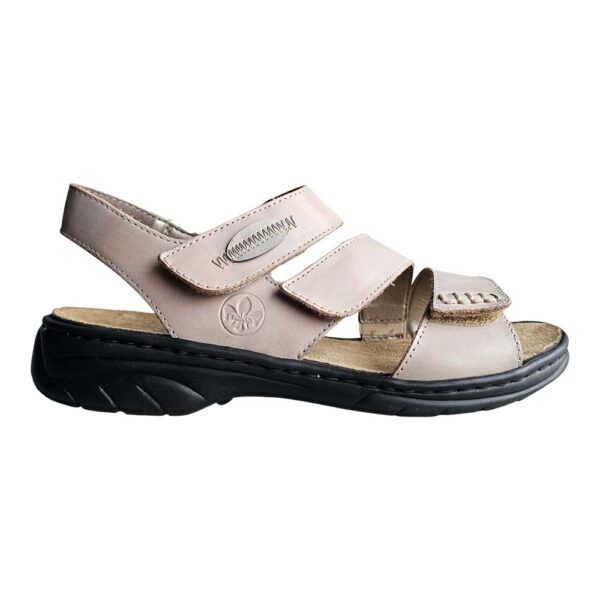 DORTHEA 64573-62