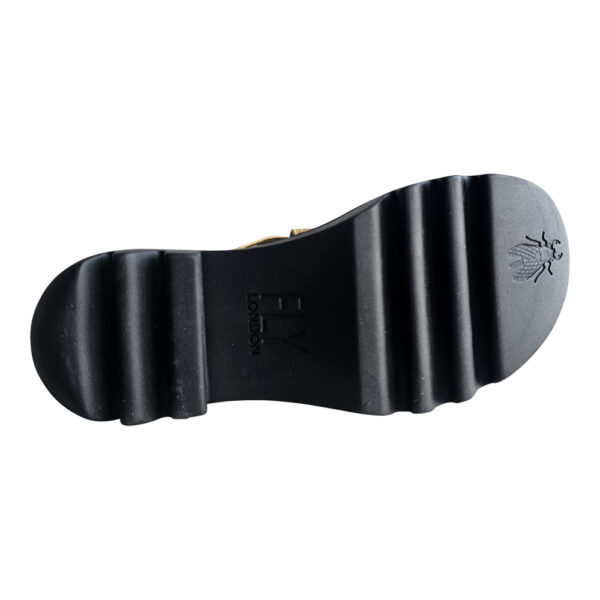 TAJI502 - Image 2