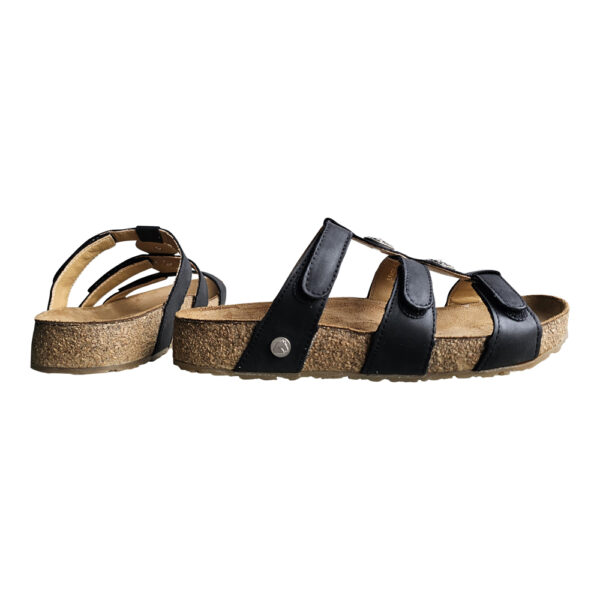 ALICE - Image 6