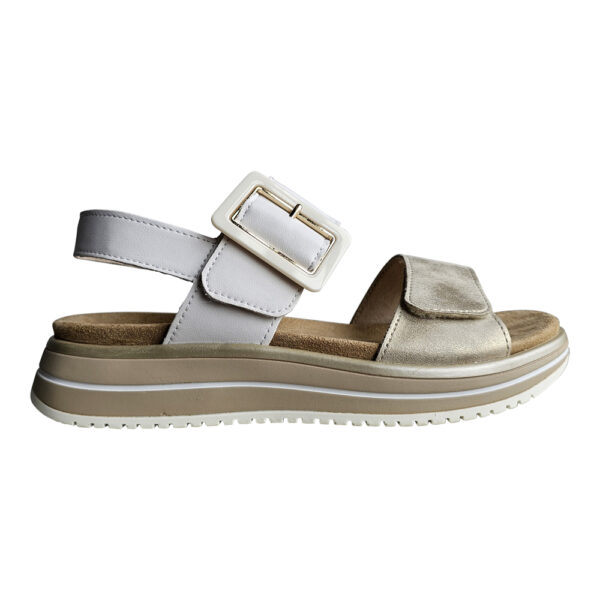 JOCELYN D1J53-80