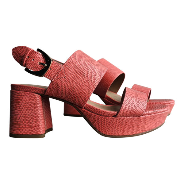 CAMILIA - Image 6