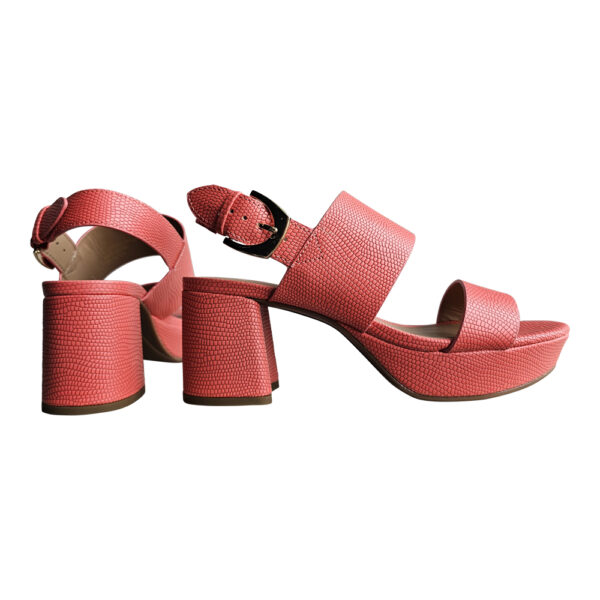 CAMILIA - Image 5