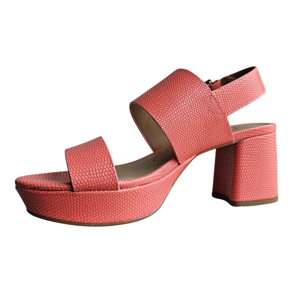 CAMILIA - Image 3