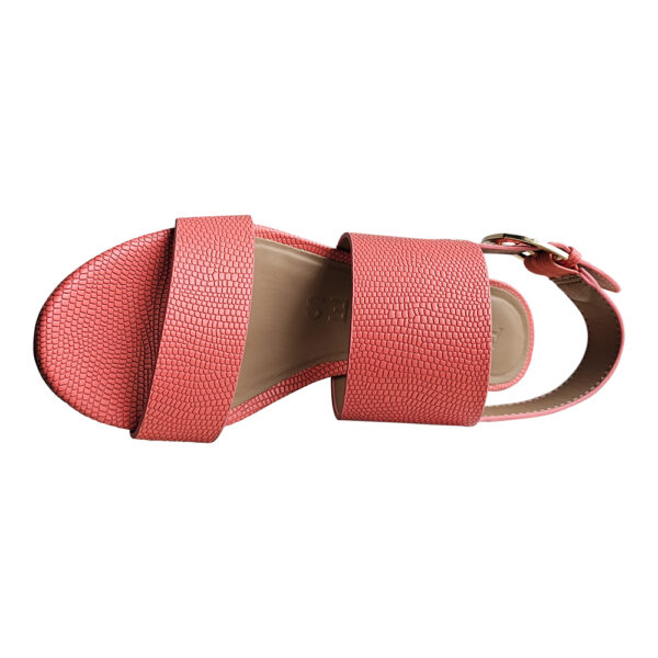 CAMILIA - Image 2