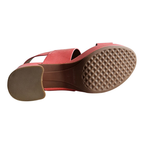 CAMILIA - Image 7