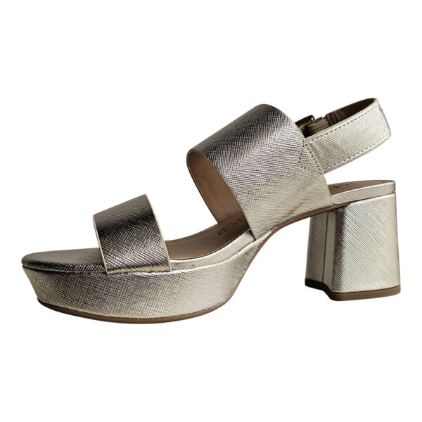 CAMILIA - Image 4