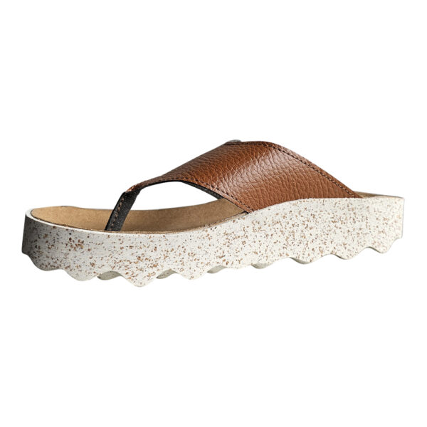 CAMI 223 - Image 4