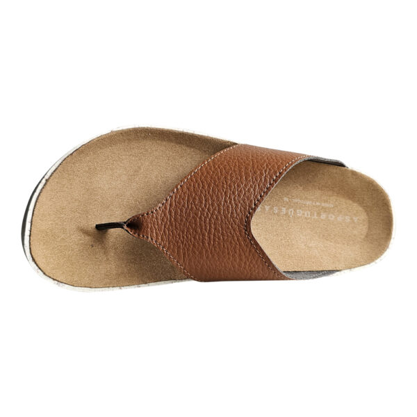CAMI 223 - Image 3