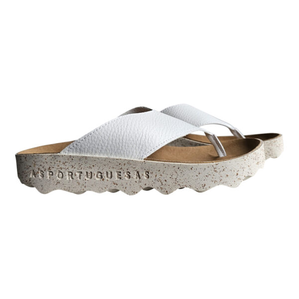 CAMI 223 - Image 7