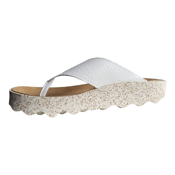 CAMI 223 - Image 4