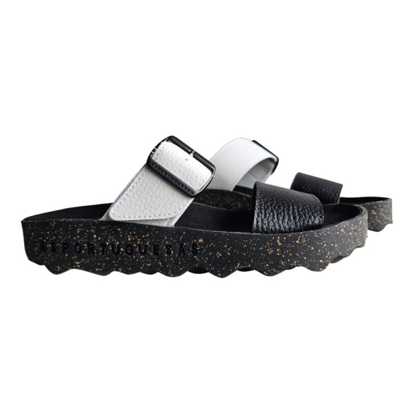COLY 225 - Image 7