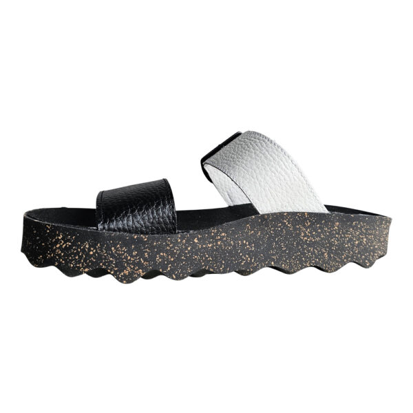 COLY 225 - Image 4