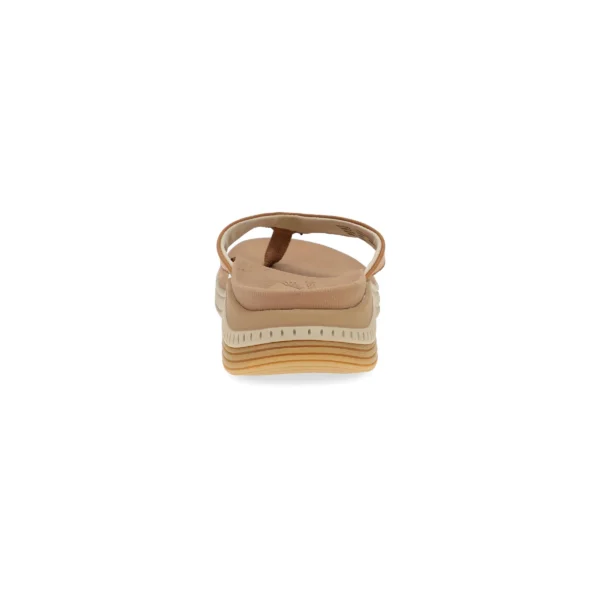 ROSEMARY - Image 3