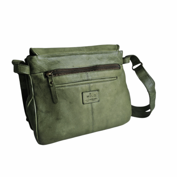 TOLEDO OLIVE - Image 4