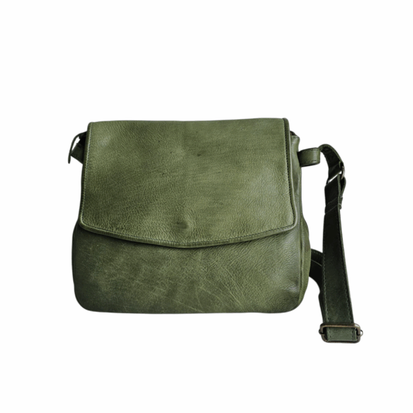TOLEDO OLIVE - Image 5
