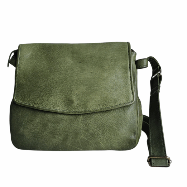 TOLEDO OLIVE