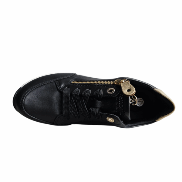 SHEBA D0T03-01 - Image 5